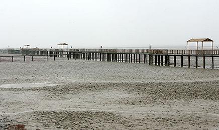 悬疑游戏《鸭子侦探：秘密萨拉米》面向PC公布